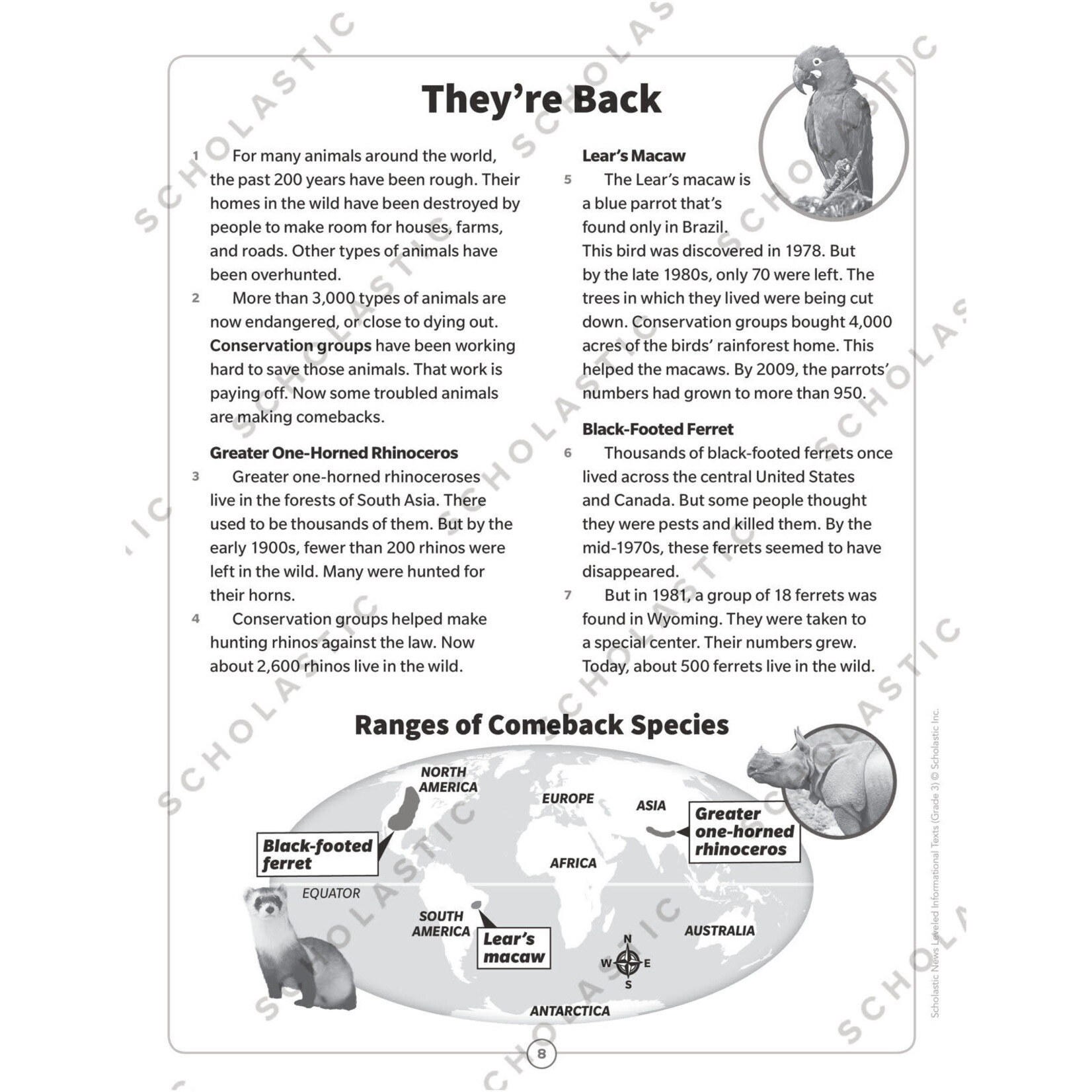SCHOLASTIC TEACHING RESOURCES Scholastic News Leveled Informational Texts: Grade 3