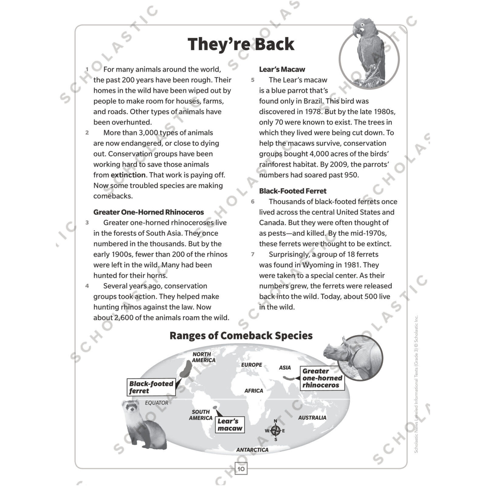 SCHOLASTIC TEACHING RESOURCES Scholastic News Leveled Informational Texts: Grade 3