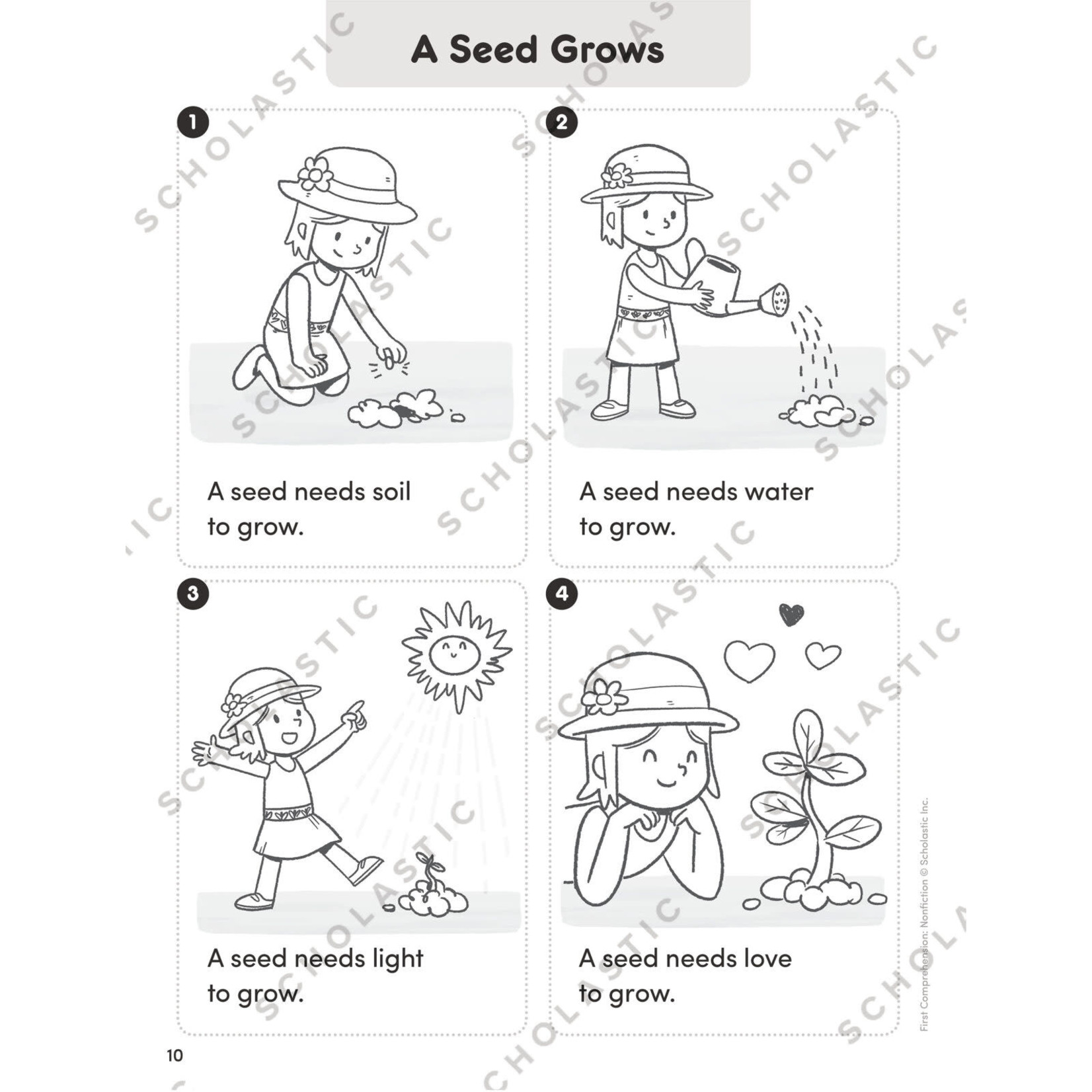 SCHOLASTIC TEACHING RESOURCES First Comprehension: Nonfiction