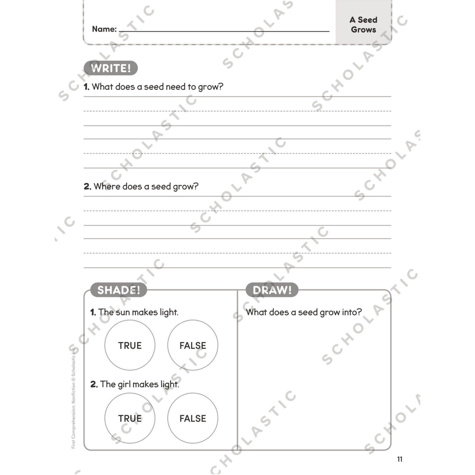 SCHOLASTIC TEACHING RESOURCES First Comprehension: Nonfiction
