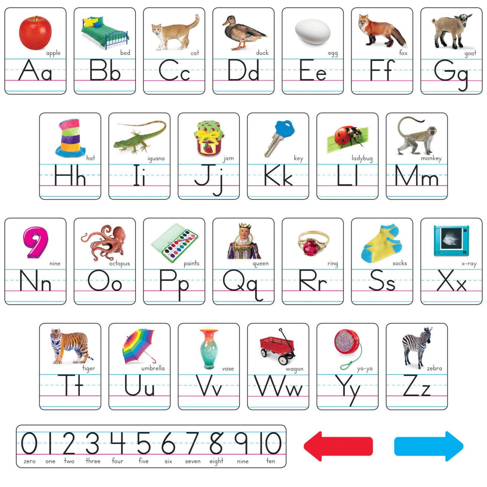 TREND ENTERPRISES INC Photo Alphabet Cards Zaner-Bloser Manuscript Bulletin Board Set