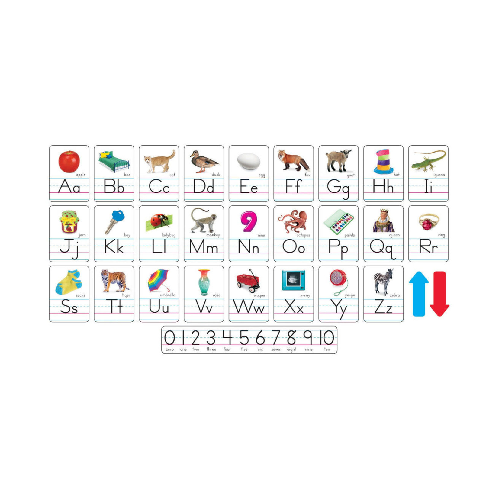 TREND ENTERPRISES INC Photo Alphabet Cards Zaner-Bloser Manuscript Bulletin Board Set