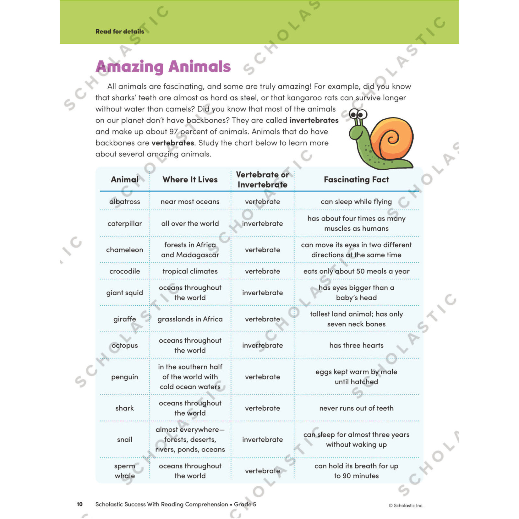 SCHOLASTIC TEACHING RESOURCES Scholastic Success With Reading Comprehension: Grade 5 Workbook