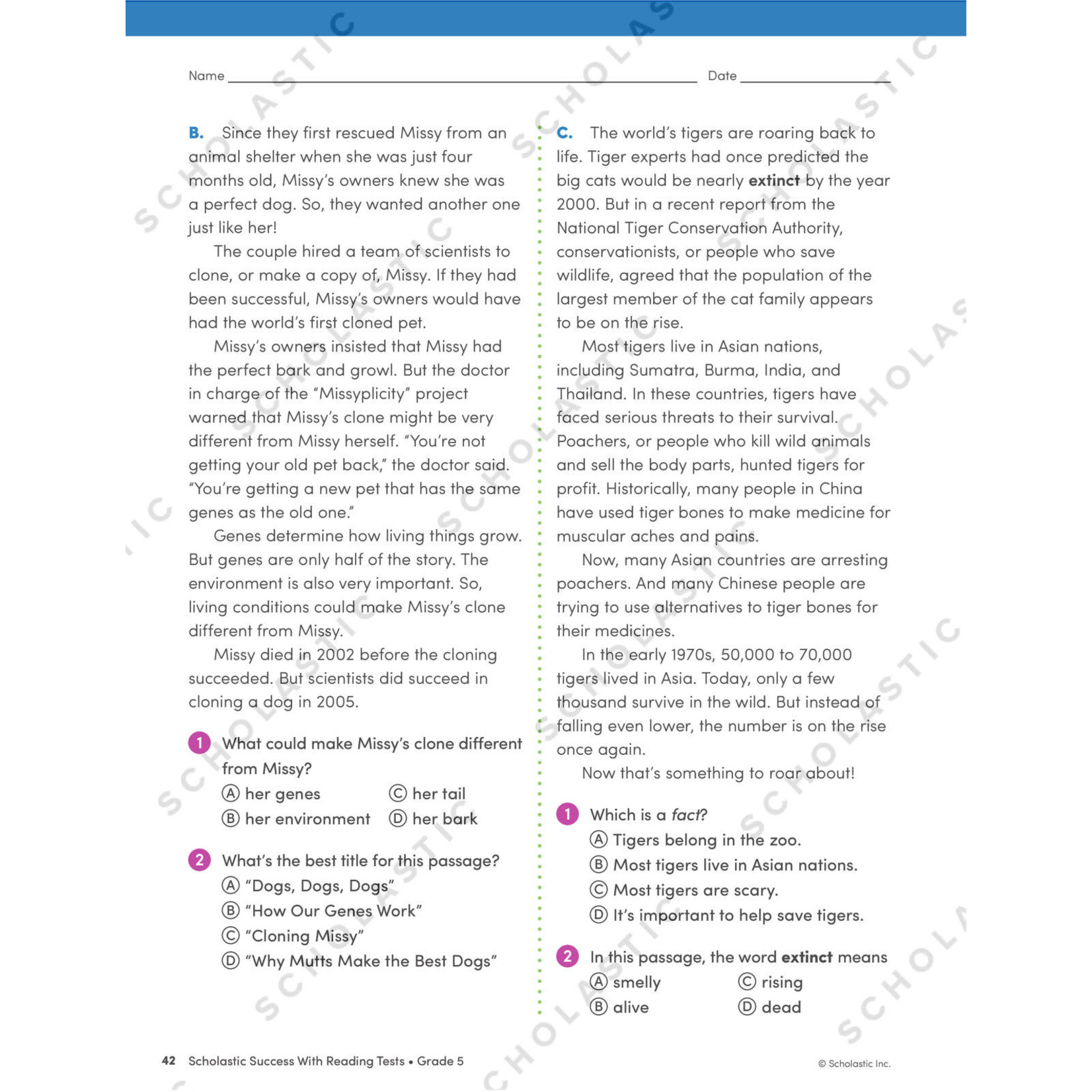 SCHOLASTIC TEACHING RESOURCES Scholastic Success With Reading Tests: Grade 5 Workbook