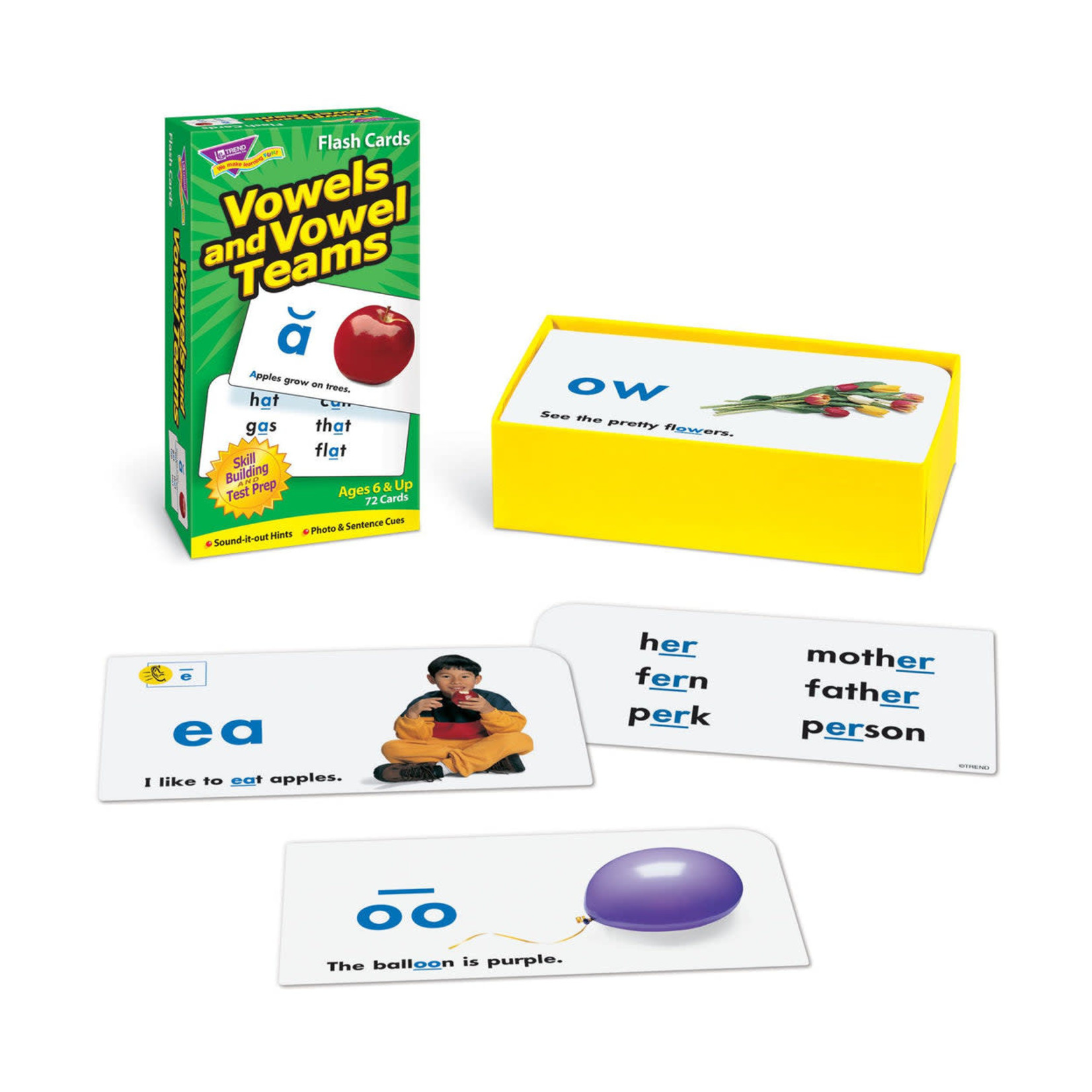 TREND ENTERPRISES INC Vowels and Vowel Teams Skill Drill Flash Cards