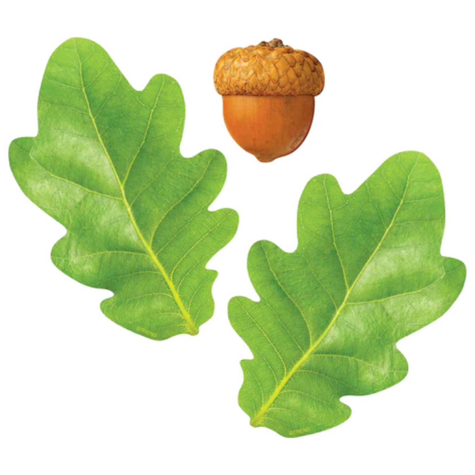 TREND ENTERPRISES INC Oak Leaves & Acorns Classic Accents®