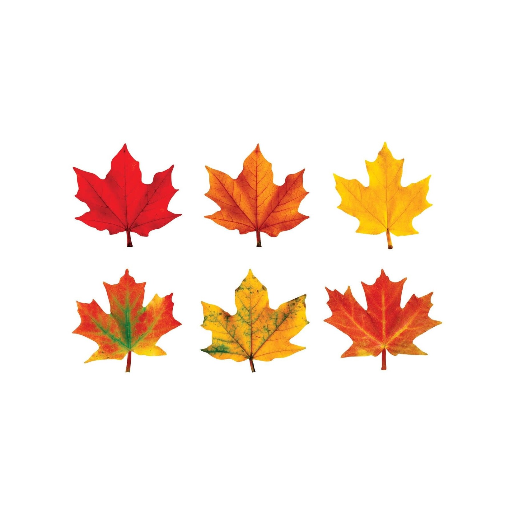 TREND ENTERPRISES INC Maple Leaves Classic Accents® Variety Pack