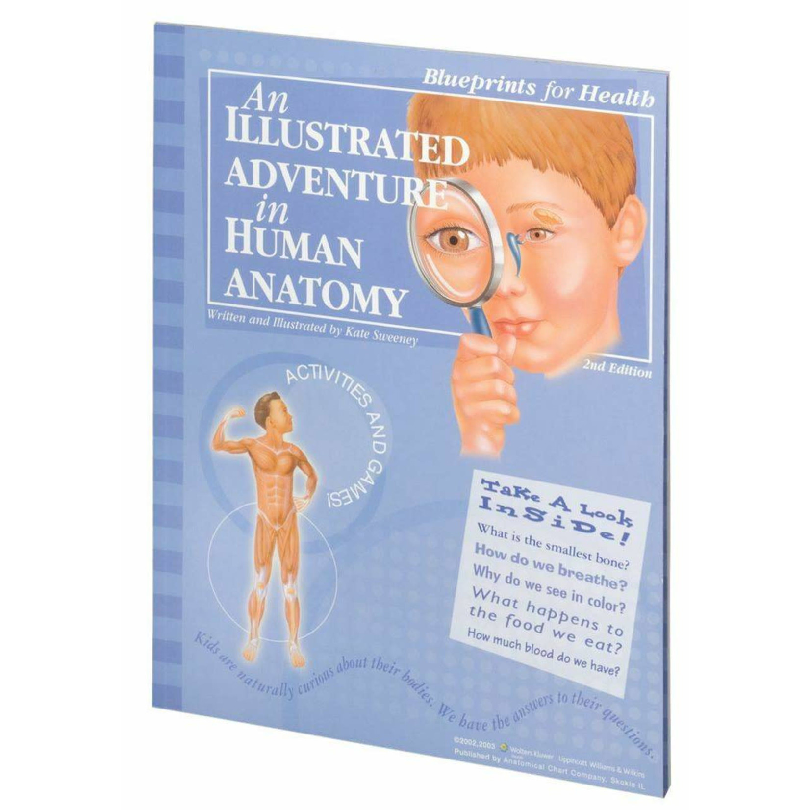 Illustrated Adventure in Human Anatomy