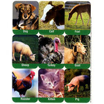 Farm Animals Giant Stickers