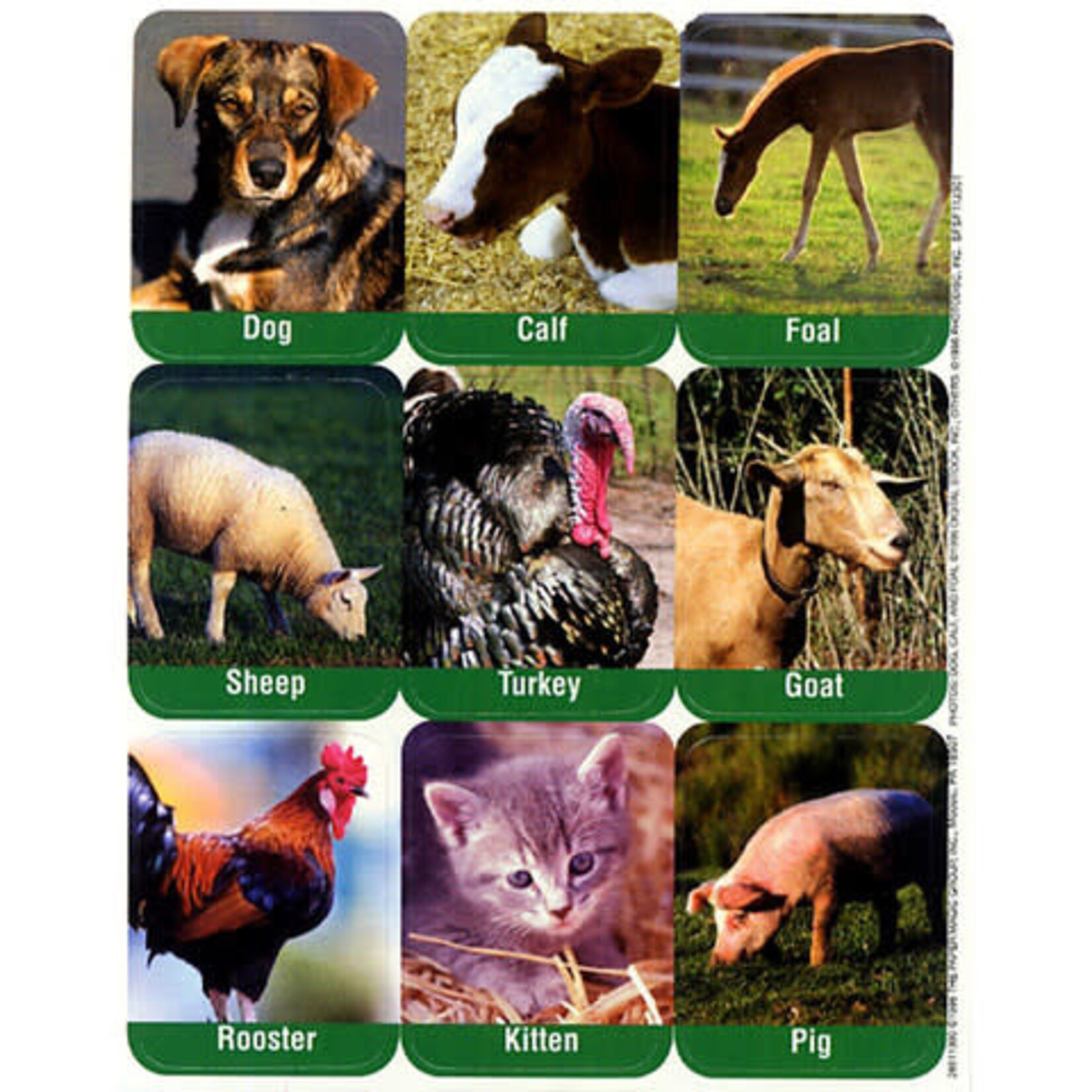 Farm Animals Giant Stickers