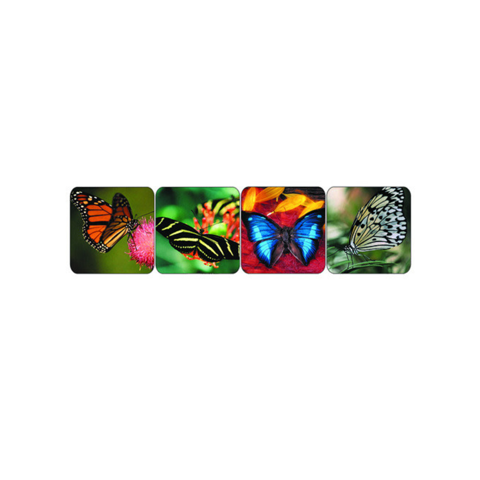 Butterfly Photo Theme Stickers