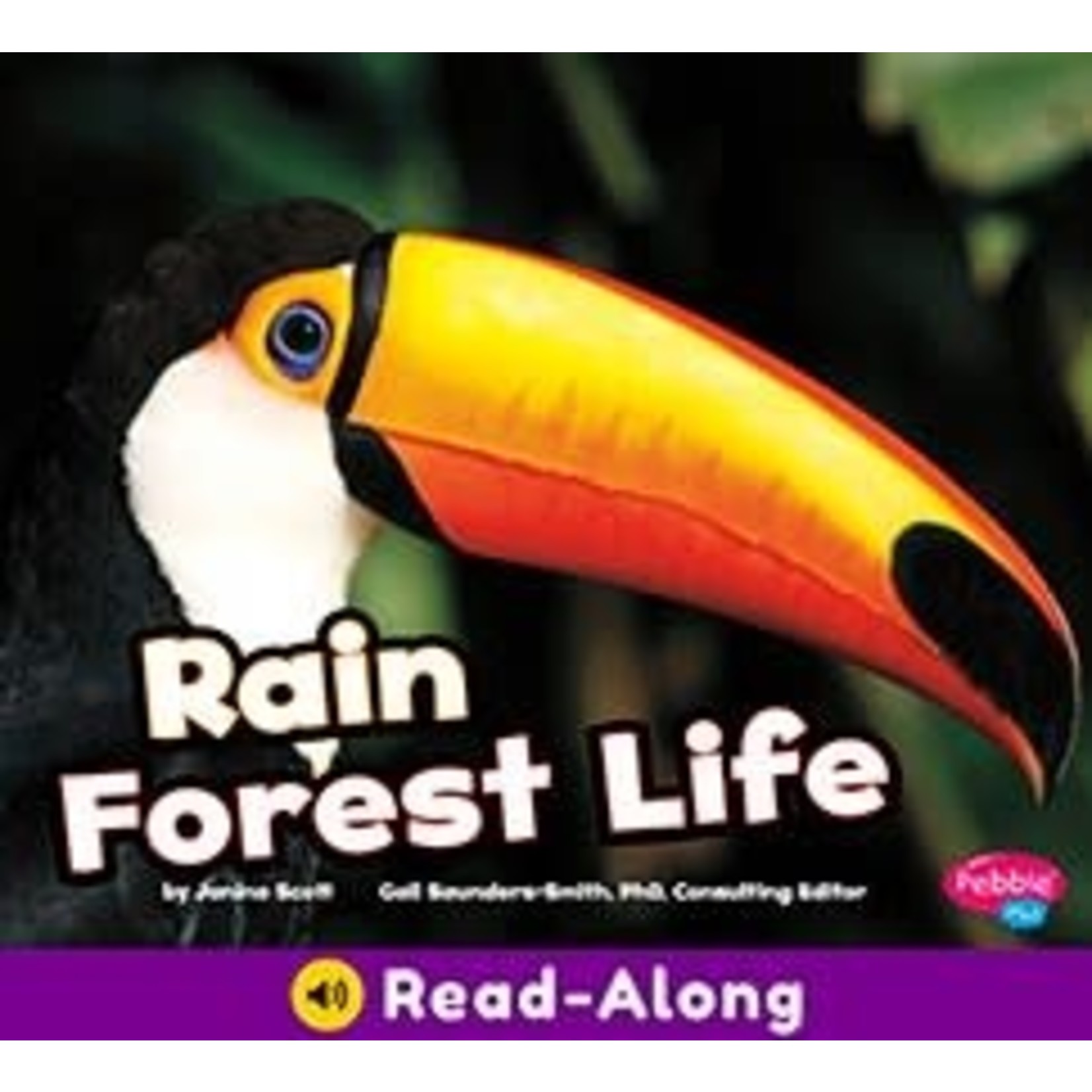 Rain Forest Life