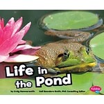Life in the Pond