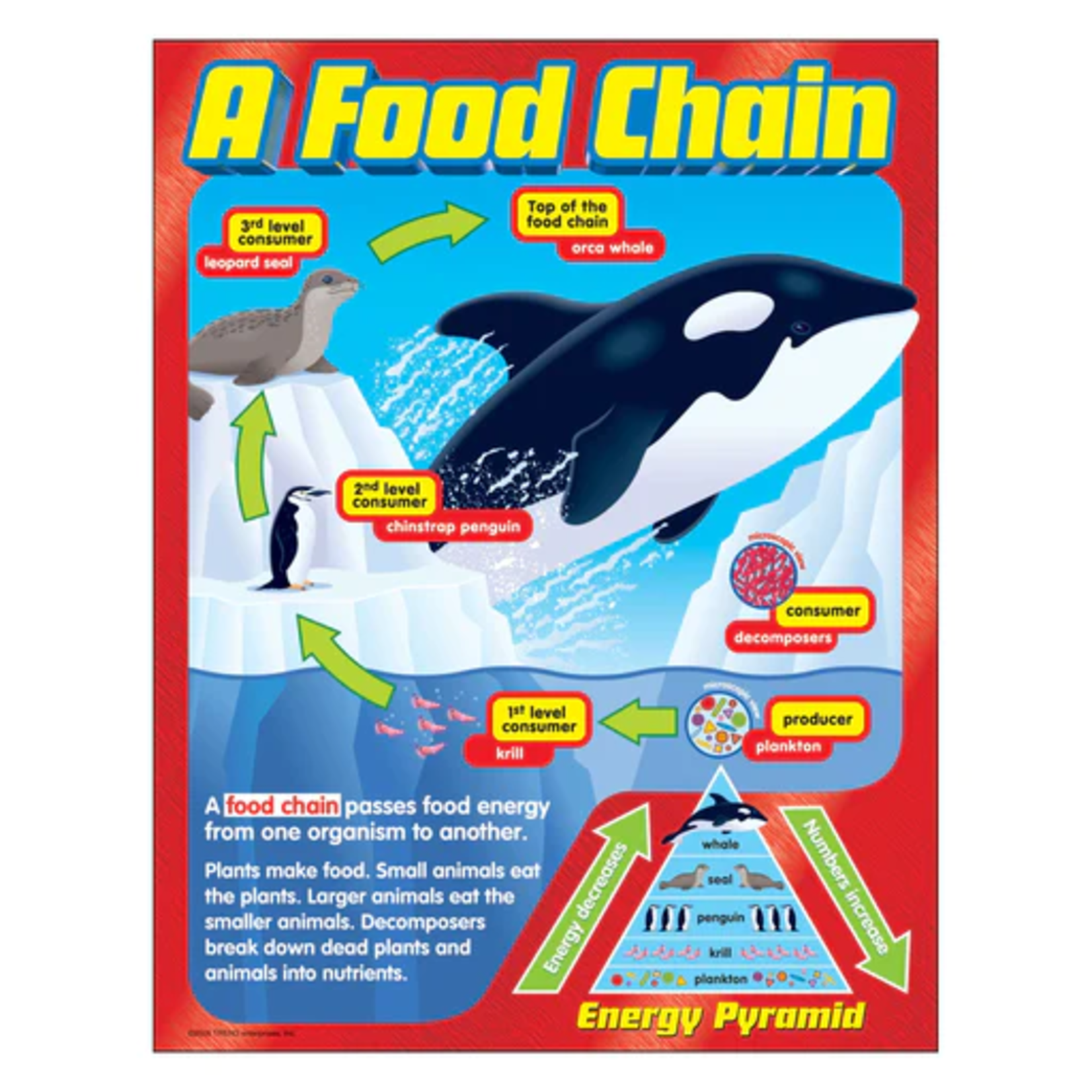 TREND ENTERPRISES INC A Food Chain Learning Chart