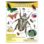 TREND ENTERPRISES INC Exploring Insects Learning Chart
