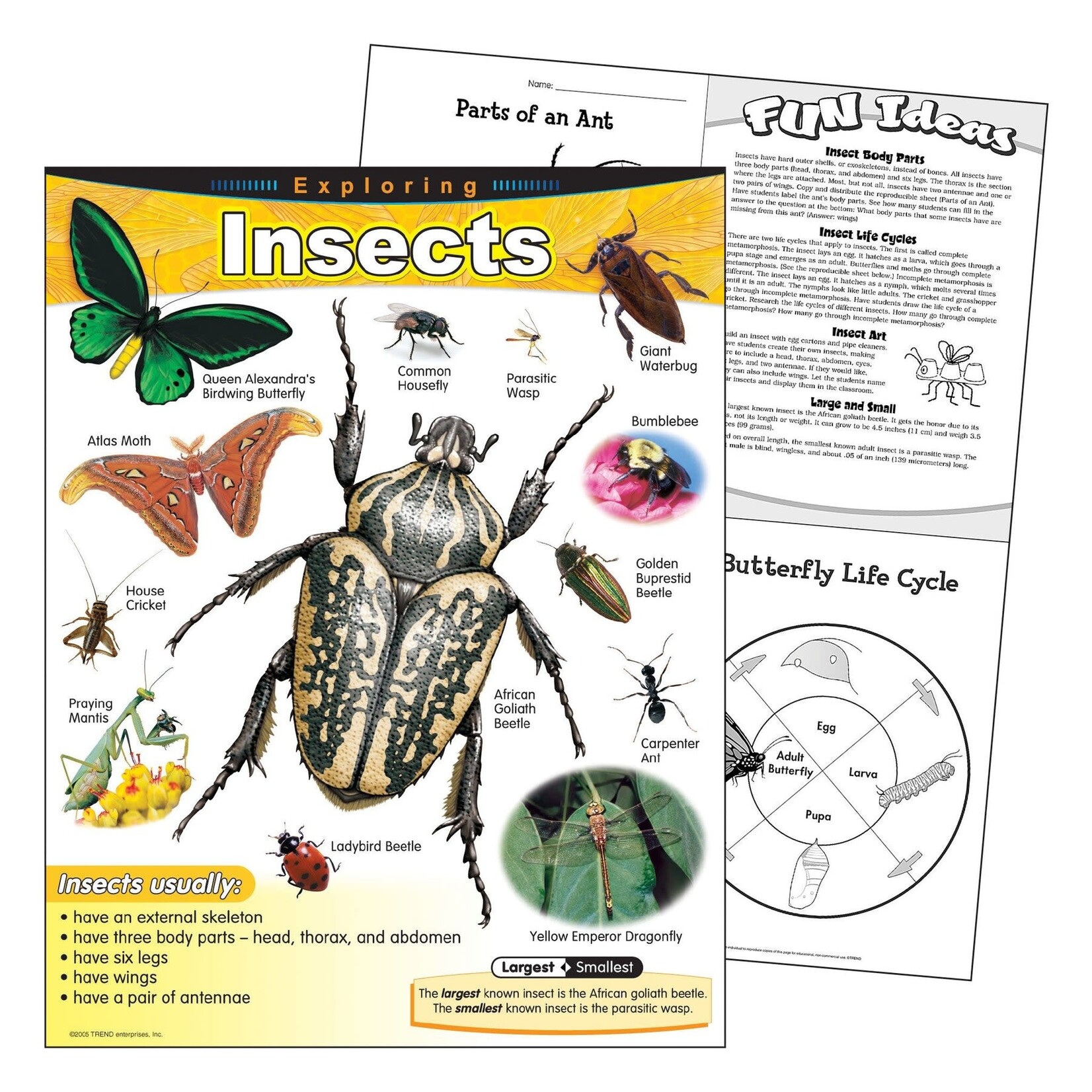 TREND ENTERPRISES INC Exploring Insects Learning Chart