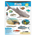 TREND ENTERPRISES INC Exploring Fish Learning Chart