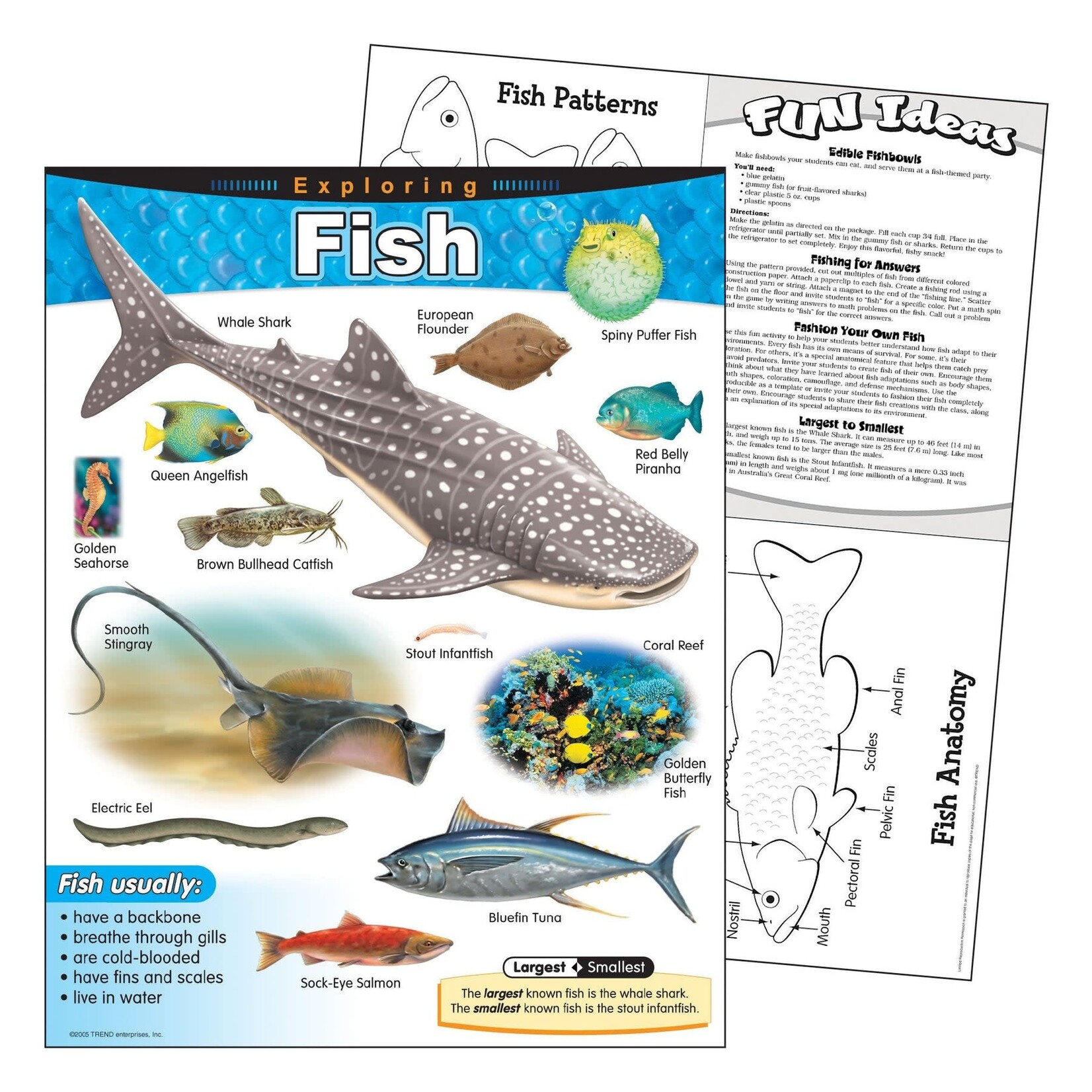 TREND ENTERPRISES INC Exploring Fish Learning Chart