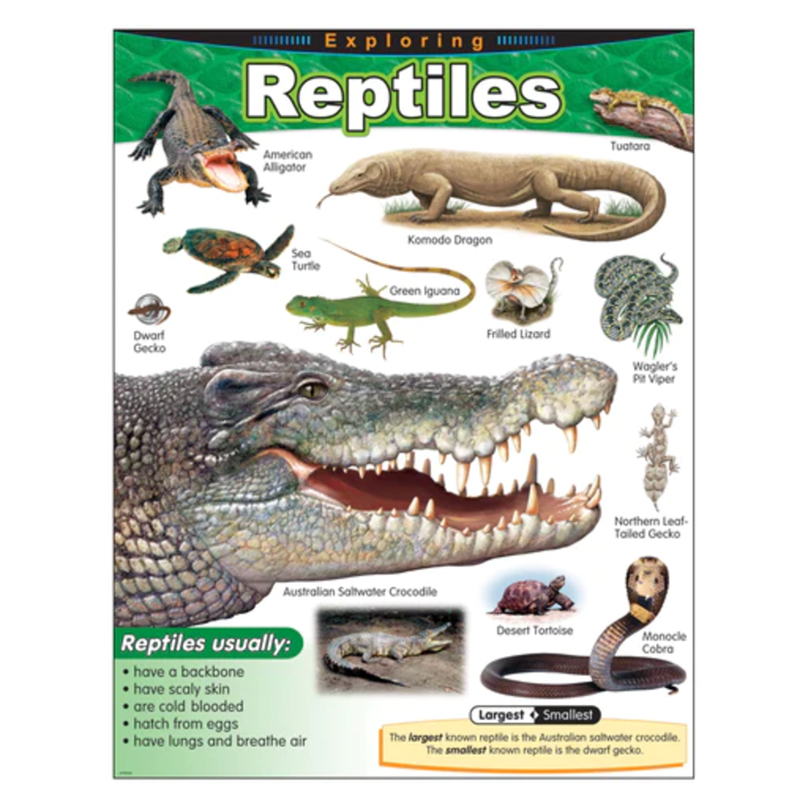 TREND ENTERPRISES INC Exploring Reptiles Learning Chart