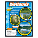 TREND ENTERPRISES INC Wetlands Learning Chart