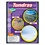 TREND ENTERPRISES INC Tundras Learning Chart