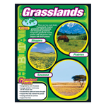 TREND ENTERPRISES INC Grasslands Learning Chart
