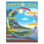 TREND ENTERPRISES INC The Water Cycle Learning Chart