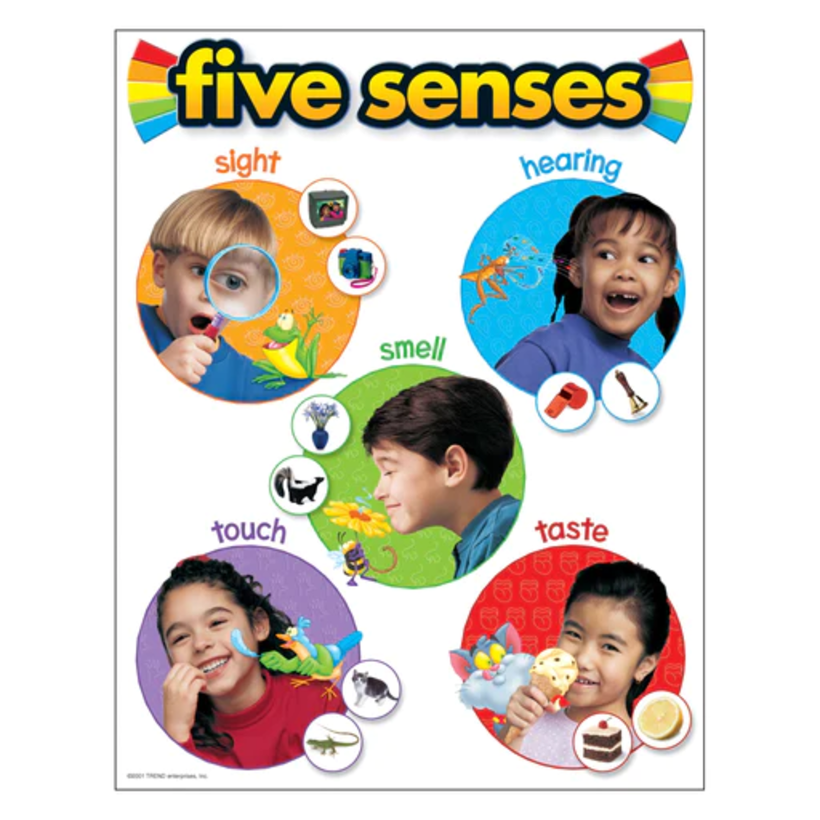 TREND ENTERPRISES INC Five Senses Learning Chart