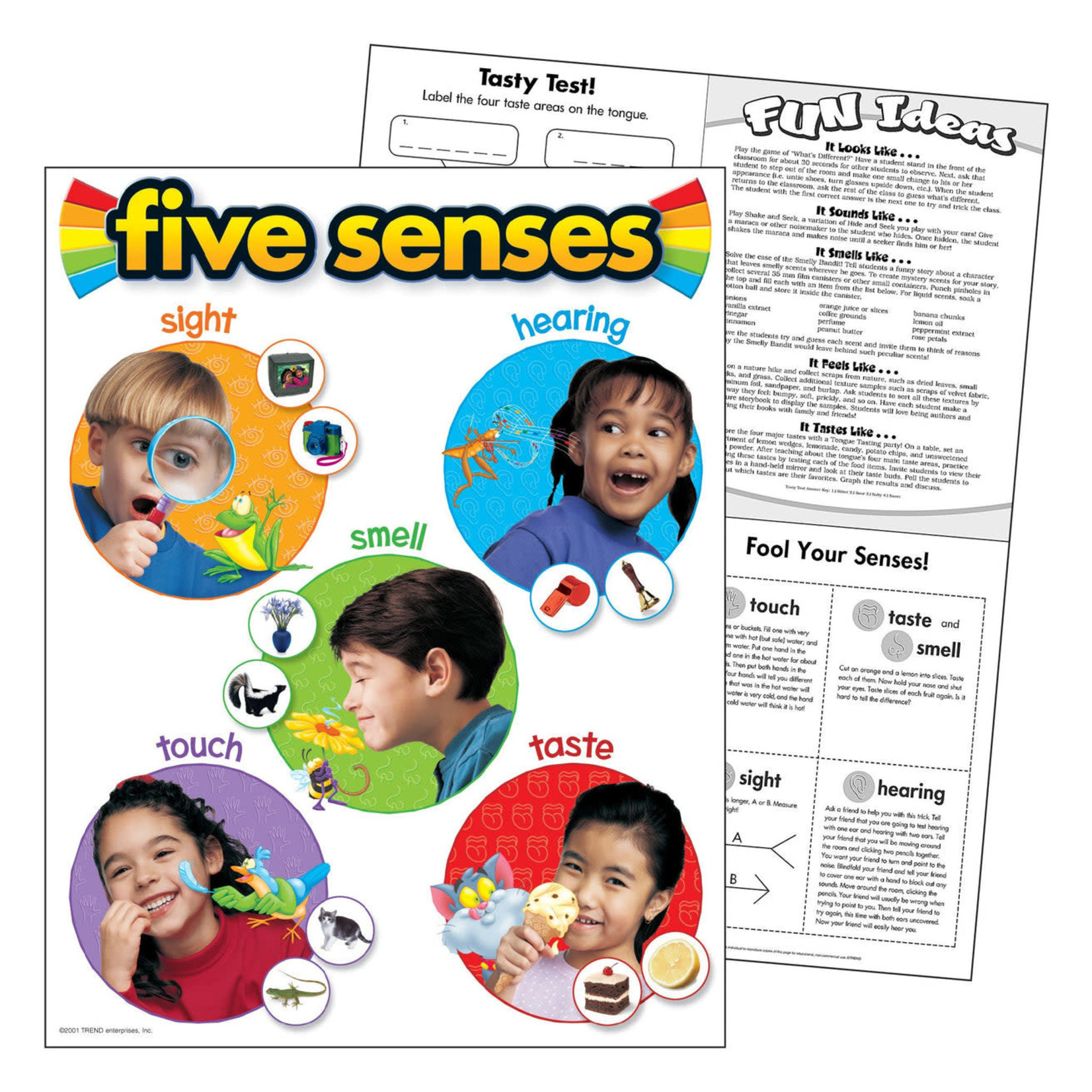 TREND ENTERPRISES INC Five Senses Learning Chart