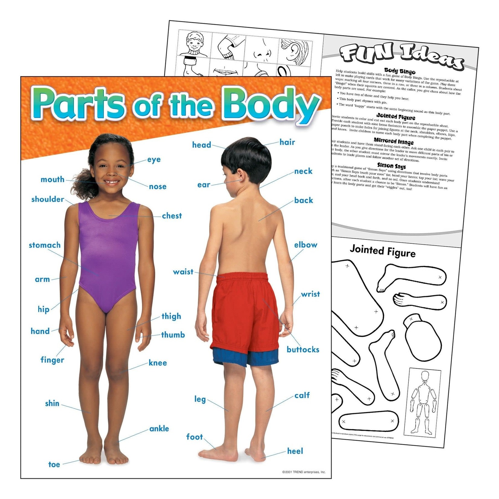 TREND ENTERPRISES INC Parts of the Body Learning Chart