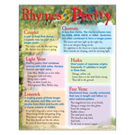 TREND ENTERPRISES INC Rhymes & Poetry Learning Chart