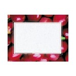 Apples Border Paper