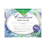 Certificate of Excellence
