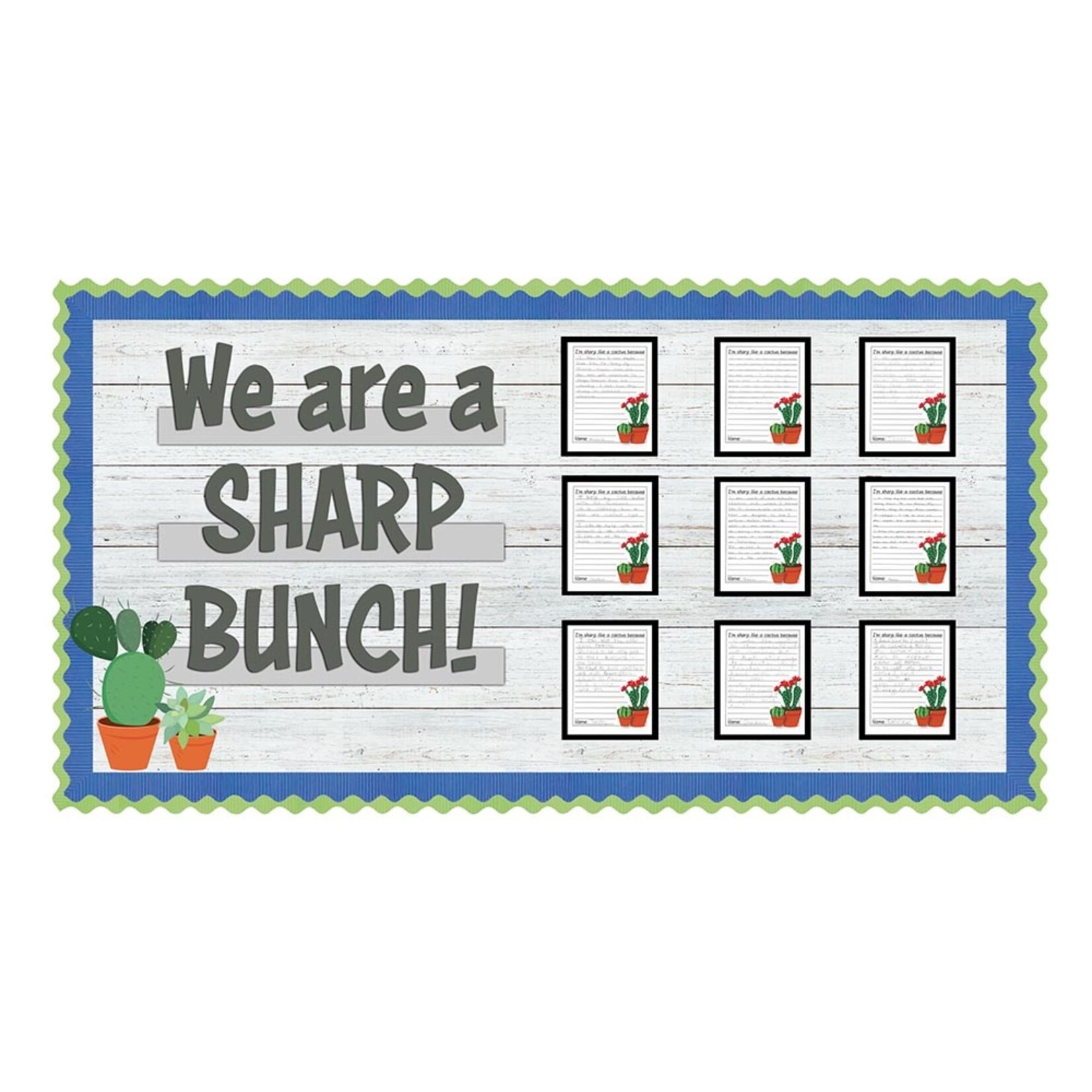 DIXON TICONDEROGA COMPANY Fadeless® Bulletin Board Art Paper White Shiplap