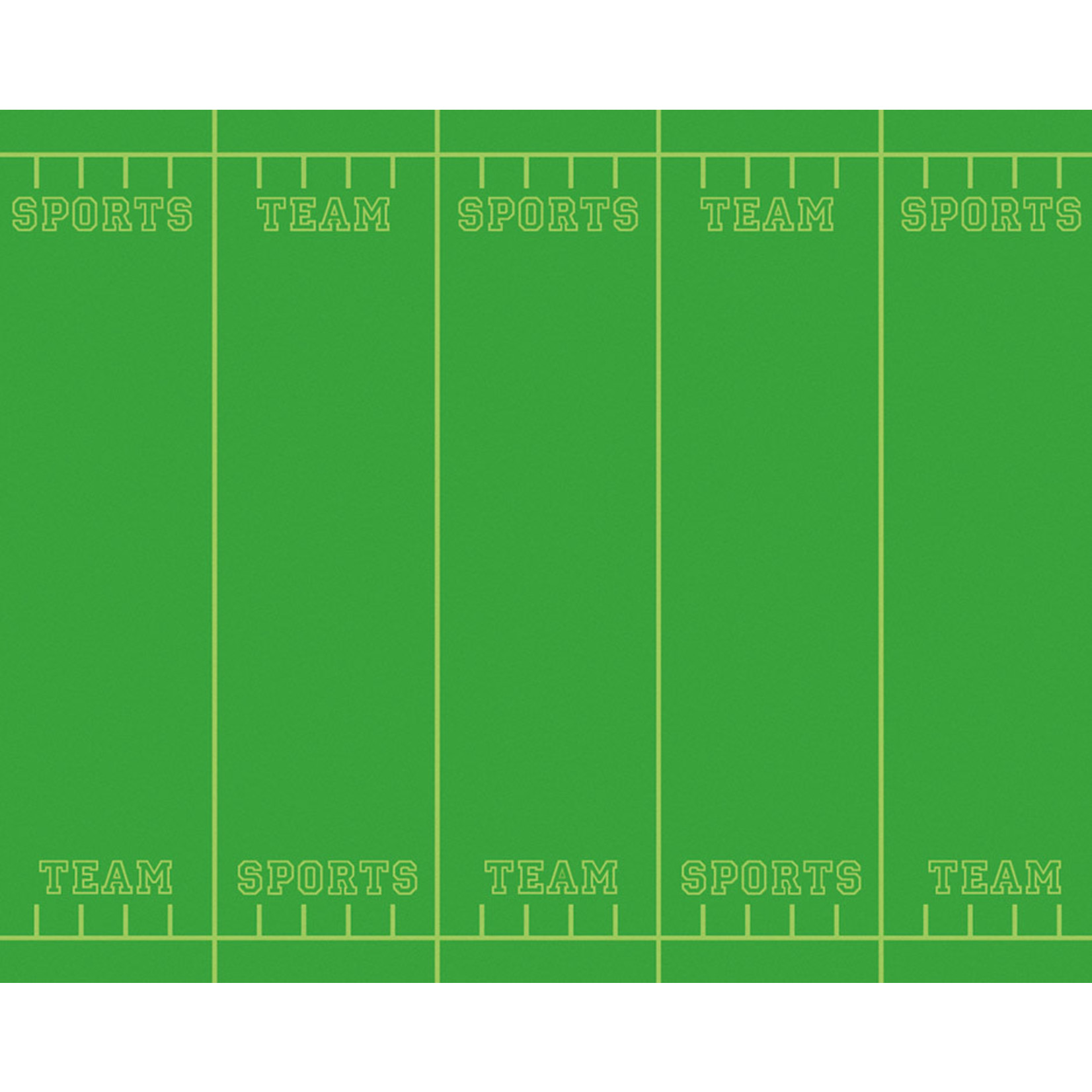 DIXON TICONDEROGA COMPANY Fadeless® Bulletin Board Art Paper Team Sports