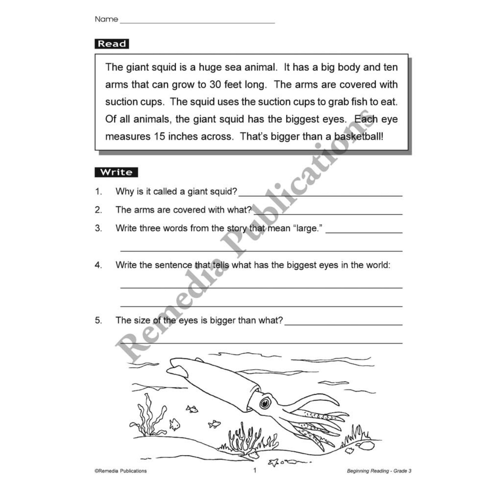 Beginning Reading (Grade 3)