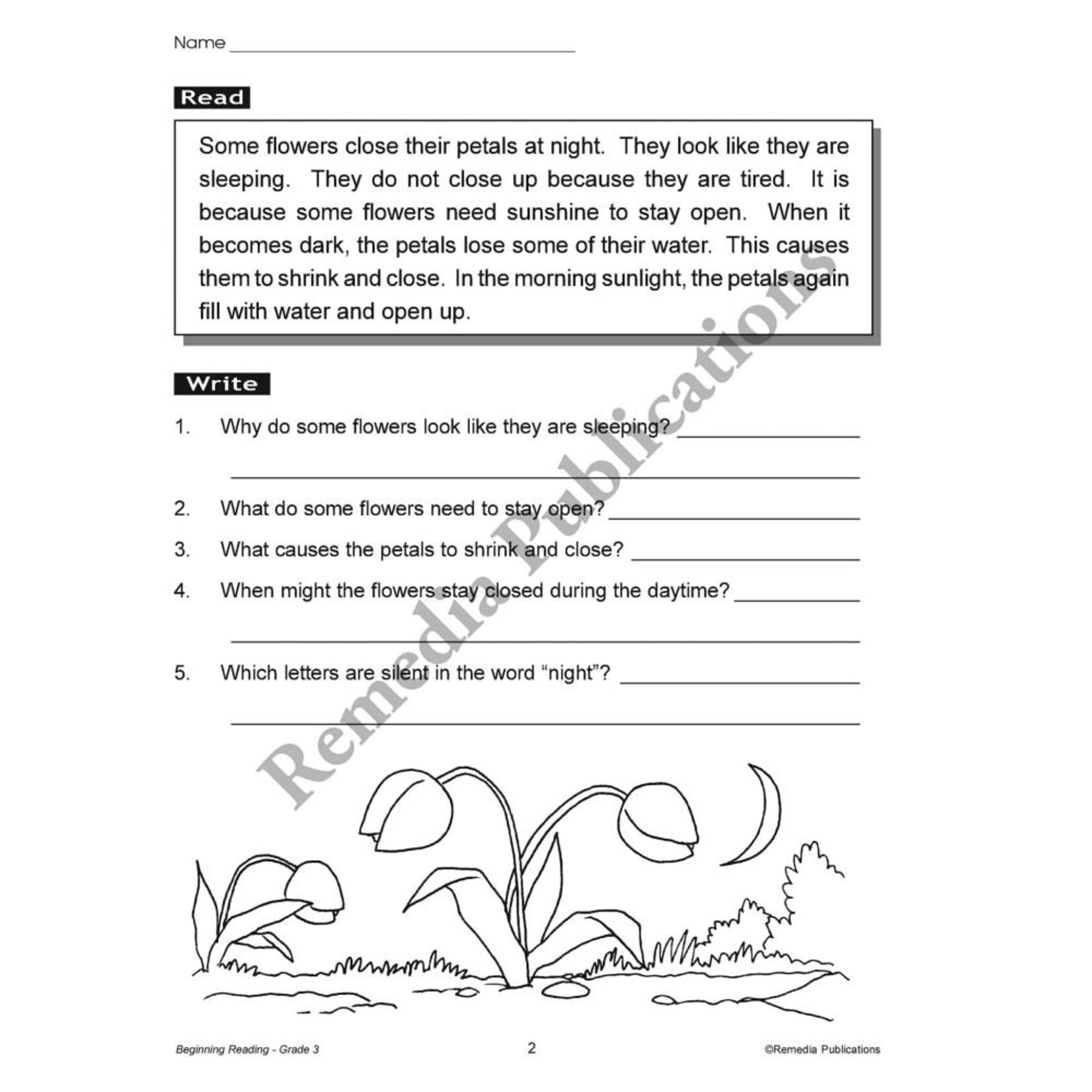 Beginning Reading (Grade 3)