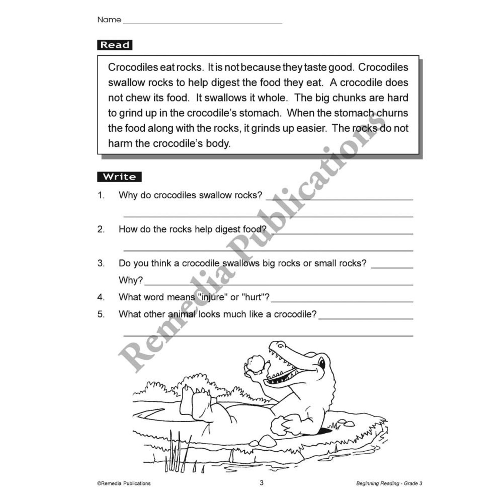 Beginning Reading (Grade 3)