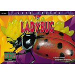 CREATIVE TEACHING PRESS Ladybug