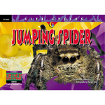 CREATIVE TEACHING PRESS Jumping Spider