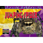 CREATIVE TEACHING PRESS Life Cycles: Jumping Spider (Level O)