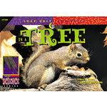 CREATIVE TEACHING PRESS Look Once, Look Again: In a Tree (Level O)