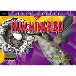 CREATIVE TEACHING PRESS Life Cycles: Hummingbird (Level O)