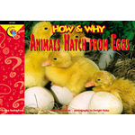 CREATIVE TEACHING PRESS How & Why: Animals Hatch from Eggs (Level N)