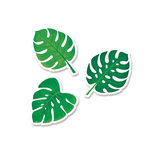 CREATIVE TEACHING PRESS Palm Paradise Monstera Leaves 3 Inch Designer Cut-Outs
