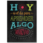 CREATIVE TEACHING PRESS "Make today the day to learn something new" Spanish Poster