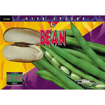 CREATIVE TEACHING PRESS Life Cycles: Bean (Level O)