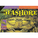 CREATIVE TEACHING PRESS Look Once, Look Again: At the Seashore (Level P)