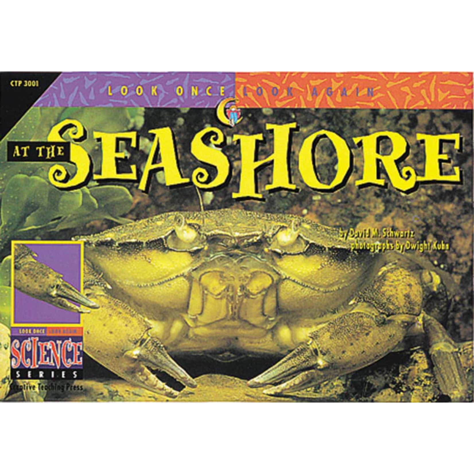 CREATIVE TEACHING PRESS Look Once, Look Again: At the Seashore (Level P)