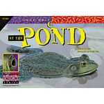 CREATIVE TEACHING PRESS Look Once, Look Again: At the Pond (Level N)